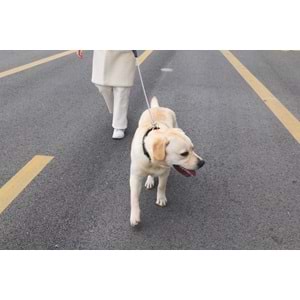 10830799 M-PETS GIANT ZİNCİR GEZDİRME SOFT TUTMALI 5MM/75CM