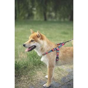 10836499 M-PETS URBAN STYLE JAZZ STRIPES GÖĞÜS TASMASI (L)