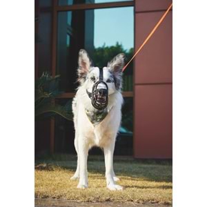 10845699 M-PETS BARK GUARD AĞIZLIK (XL) BLACK/YELLOW