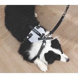 10852699 M-PETS ORIGAMI REFLEKTÖRLÜ SIRT TASMASI BLUE (L)