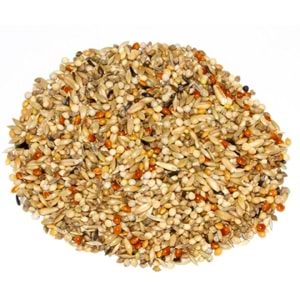 21290 DELİ NATURE 74 DANIEL LUTOLF SUPER CHAMPION EXCLUSIVE MUHABBET KUŞU ÜRETİM YEMİ 20KG