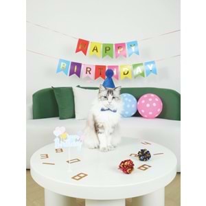 20644599 M-PETS PARTY TIME ERKEK KEDİLER İÇİN DOĞUM GÜNÜ SETİ