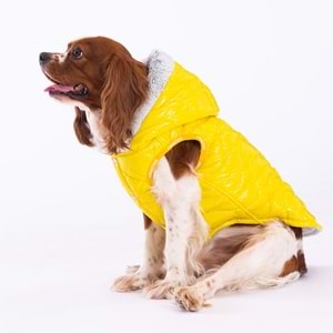 23112-PAWSTAR SARI LIGHT WAVE YELEK 5Lİ SET M-L-XL-XL-2XL