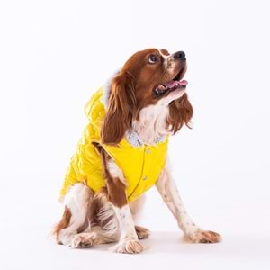 23112-PAWSTAR SARI LIGHT WAVE YELEK 5Lİ SET M-L-XL-XL-2XL