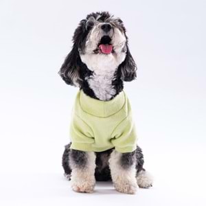 24725-PAWSTAR SARI MERINO SWEAT 5Lİ SET M-L-L-XL-2XL