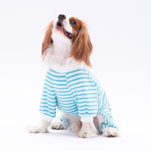 24905-PAWSTAR MAVİ JUST MORE PİJAMA TULUM 5Lİ SET(M-L-L-XL-2XL)