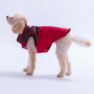 25101-PAWSTAR KIRMIZI ELGIN PAWS YELEK 5Lİ SET M-L-L-XL-2XL