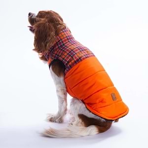 25102-PAWSTAR TURUNCU ELGIN PAWS YELEK 5Lİ SET M-L-L-XL-2XL
