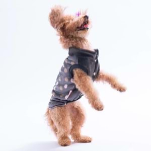 25104-PAWSTAR BATH DOTS YELEK 5Lİ SET M-L-L-XL-2XL