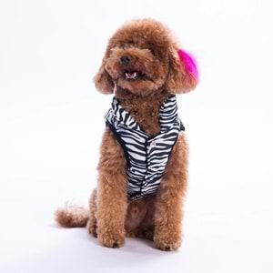 25107-PAWSTAR LODWAR STREET YELEK 5Lİ SET M-L-L-XL-2XL