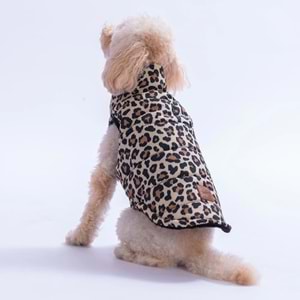 25109-PAWSTAR MBEYA GOLD YELEK 5Lİ SET M-L-L-XL-2XL