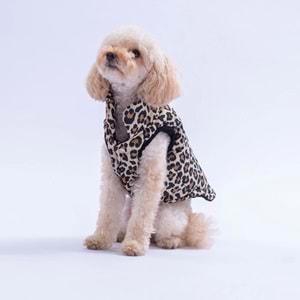 25109-PAWSTAR MBEYA GOLD YELEK 5Lİ SET M-L-L-XL-2XL