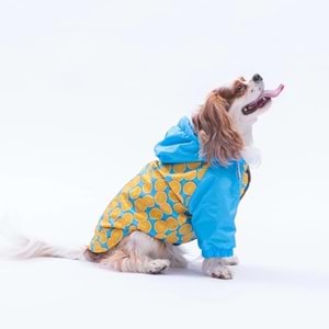 25510-PAWSTAR NICE CITRUS YAĞMURLUK 5Lİ SET M-L-L-XL-2XL