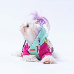 25701-PAWSTAR MINT RIO HOODIE 5Lİ SET M-L-L-XL-2XL