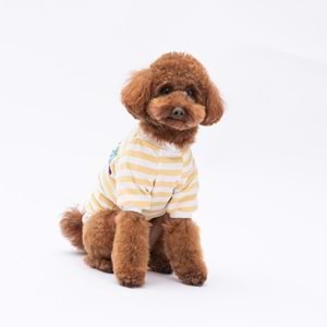 25706-PAWSTAR SARI EEYORE SWEAT 5Lİ SET (M-L-L-XL-2XL)