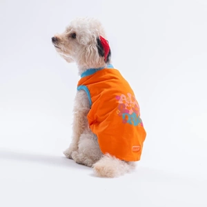 26801-PAWSTAR TURUNCU ALL GOOD DAYS TİŞÖRT 6LI SET (S-M-L-L-XL-2XL)