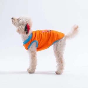 26801-PAWSTAR TURUNCU ALL GOOD DAYS TİŞÖRT 6LI SET (S-M-L-L-XL-2XL)