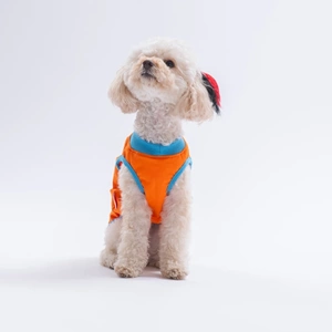 26801-PAWSTAR TURUNCU ALL GOOD DAYS TİŞÖRT 6LI SET (S-M-L-L-XL-2XL)
