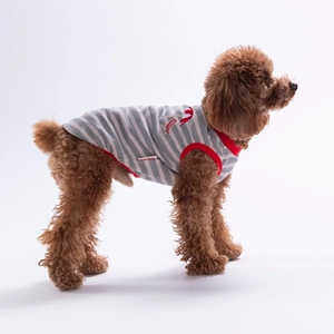 26817-PAWSTAR UMBRELLA EMBROLİNE TİŞÖRT 6LI SET (S-M-L-L-XL-2XL)