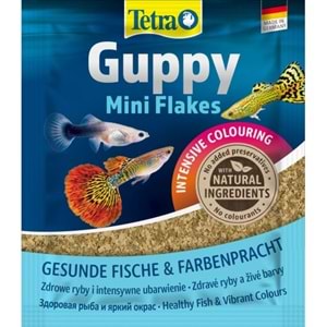 193741-TETRA GUPPY 12GR