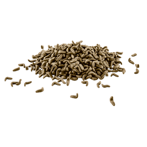 753518-TETRA REPTOMİN 500ML