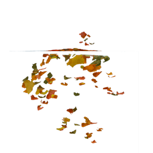 769922-TETRA RUBİN FLAKES 10LT KOVA