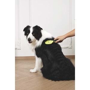 60107399 M-PETS CLICK AND GROOM KEDİ ve KÖPEK KIL FIRÇA