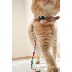 60800499 M-PETS URBAN STYLE FREESTYLE PAPYON (XS-S)