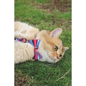 60800699 M-PETS URBAN STYLE JAZZ STRIPES PAPYON (L)