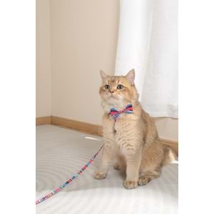 60800699 M-PETS URBAN STYLE JAZZ STRIPES PAPYON (L)