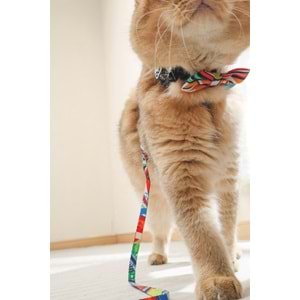 60800899 M-PETS URBAN STYLE FREESTYLE PAPYON (L)