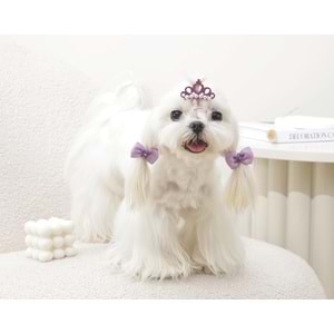 60900099 M-PETS GLAM KÖPEKLER İÇİN AKSESUAR TOKA PURPLE