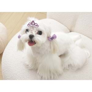 60900099 M-PETS GLAM KÖPEKLER İÇİN AKSESUAR TOKA PURPLE