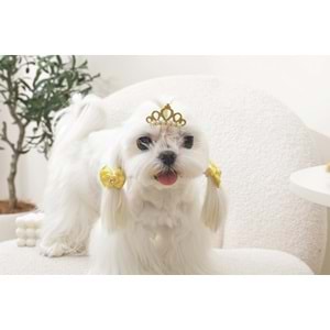 60900199 M-PETS GLAM KÖPEKLER İÇİN AKSESUAR TOKA YELLOW