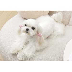 60900799 M-PETS GLAM KÖPEKLER İÇİN AKSESUAR TOKA PİNK