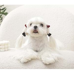 60901199 M-PETS GLAM KÖPEKLER İÇİN AKSESUAR TOKA BLACK/RED