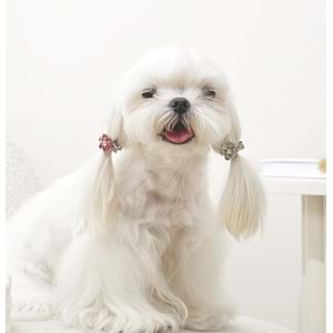 60901499 M-PETS GLAM KÖPEKLER İÇİN AKSESUAR TOKA PİNK/WHİTE