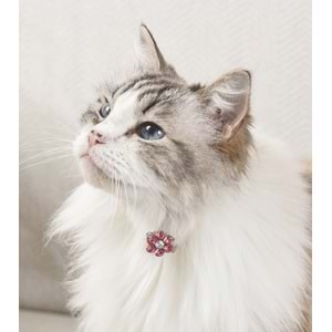 60901499 M-PETS GLAM KÖPEKLER İÇİN AKSESUAR TOKA PİNK/WHİTE