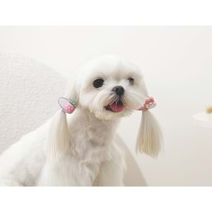 60901699 M-PETS GLAM KÖPEKLER İÇİN AKSESUAR TOKA PİNK