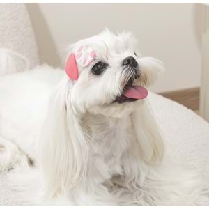 60902399 M-PETS GLAM KÖPEKLER İÇİN AKSESUAR TOKA RED