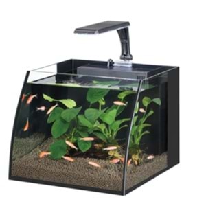 HAQOS BELLY BOX 30 AYDINLATMALI NANO AKVARYUM 16L BLACK