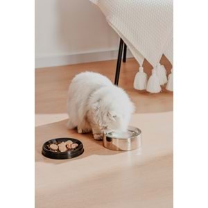 PAWGETHER BOWL 2 METAL MAMA KABI 400ML