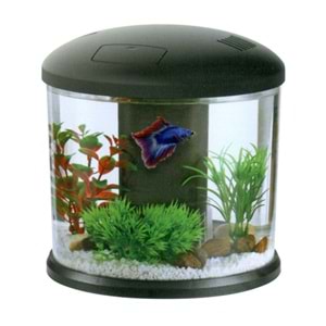 DY-2A BOYU BETA AKVARYUMU