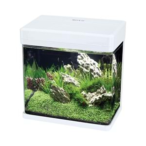 MS-220 BOYU AKVARYUM WHİTE 7,5L (25,5X16,2X26,8CM)