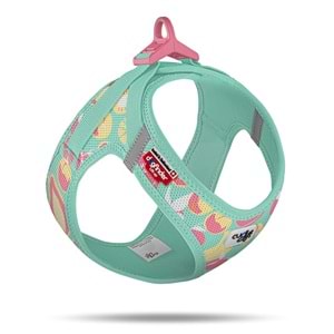 PN3675-CURLI VEST HARNESS AIR-MESH LE26 JUICY F TURQUOISE S
