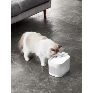 PAWGETHER PURE 4S OTOMATİK SU SEBİLİ 2,5L