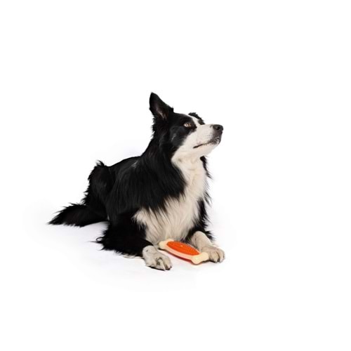 10632810 M-PETS CHEWBO BONE DENTAL ET AROMALI KÖPEK OYUNCAĞI (L)