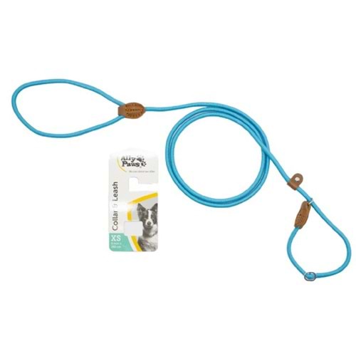 10719 ALLY PAWS COLLAR & LEASH (XS) 6MMXX150CM