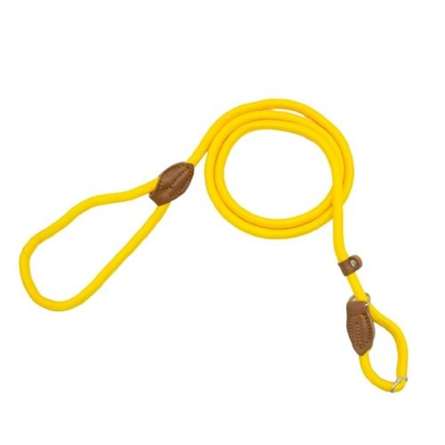10722 ALLY PAWS COLLAR & LEASH (L) 12MMX150CM