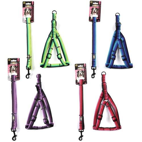 203469-DOGLİFE KÖPEKLER İÇİN DESENLİ GÖĞÜS TASMASI+GEZDİRME 2,0CM